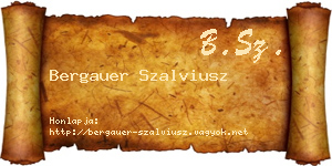 Bergauer Szalviusz névjegykártya