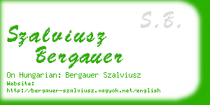 szalviusz bergauer business card